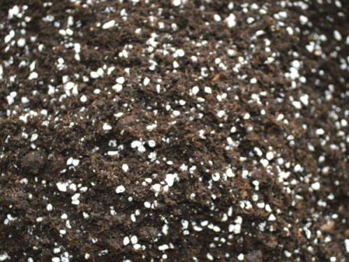 5万吨秸秆(蘑菇渣)基质(育苗土)