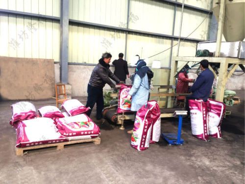 8万吨造纸污泥有机肥